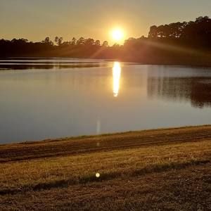 Meet your Posher, Alina